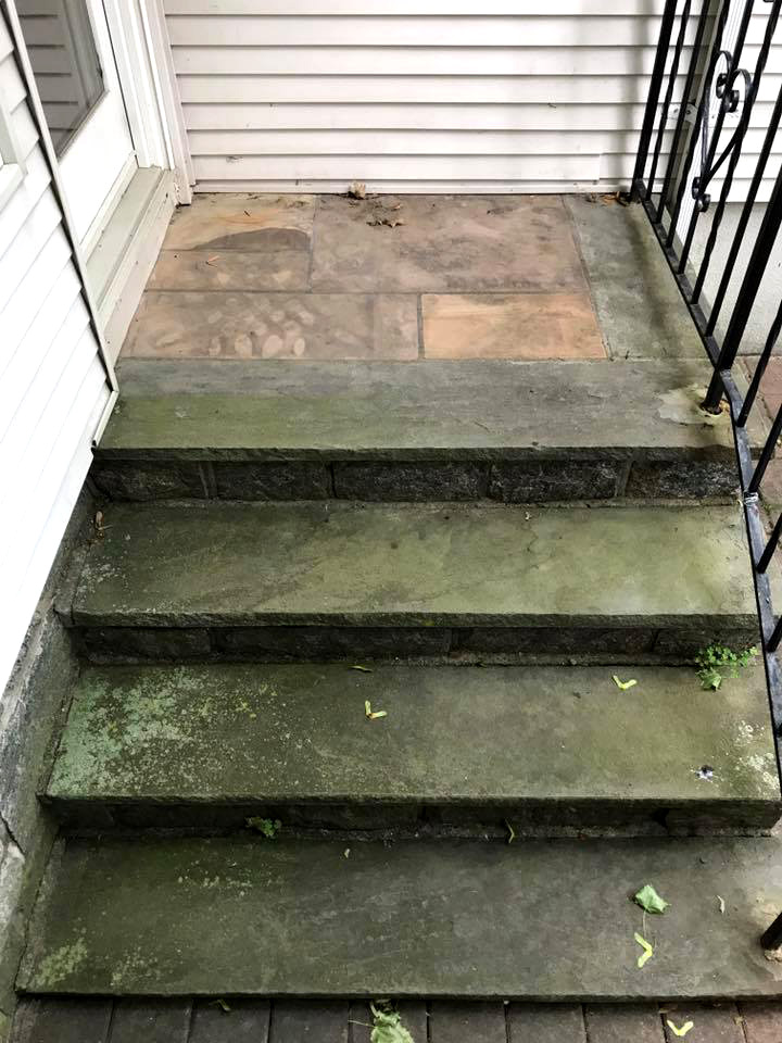 Before Stone Steps Restoration & Cleaning